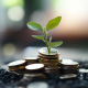 Dépenses d'investissement dans le financement des entreprises