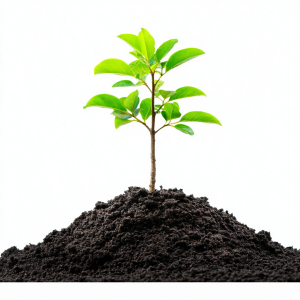 Establishing a Solid Foundation for building a sustainable investment plan in business finance